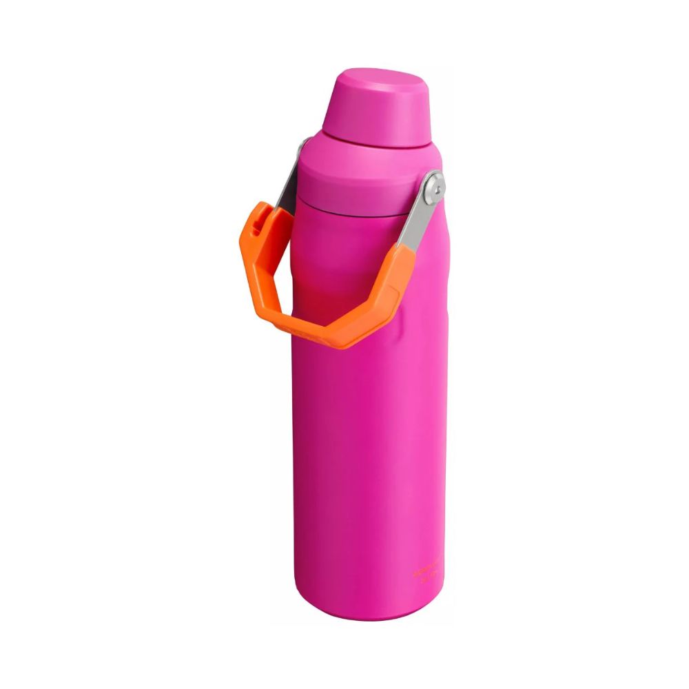 BOTELLA AEROLIGHT VIVID VIOLET 710 ML