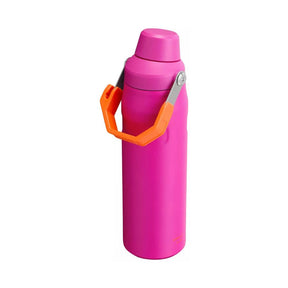 BOTELLA AEROLIGHT VIVID VIOLET 710 ML