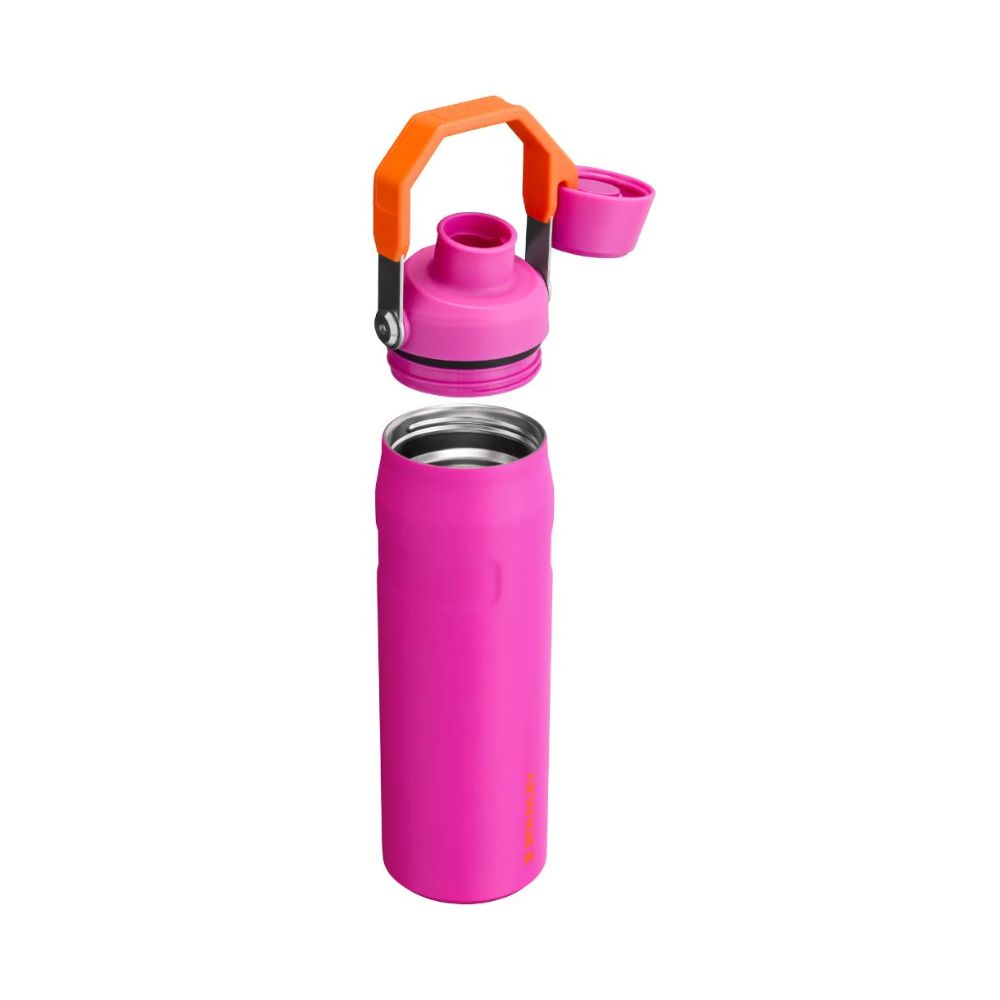 BOTELLA AEROLIGHT VIVID VIOLET 710 ML