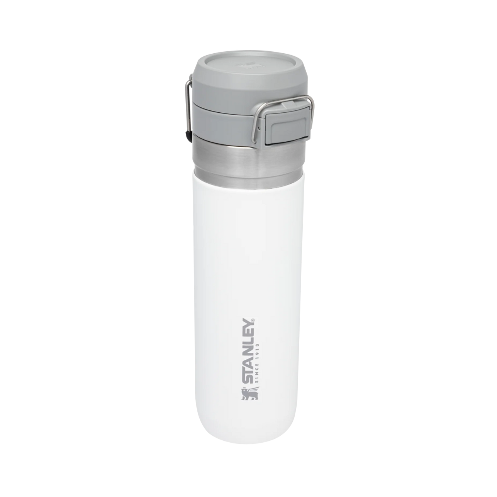 FLIP GO BOTTLE  710 ML FROST